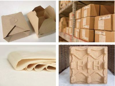 秸稈控股集團(tuán)招募百名秸稈項(xiàng)目合伙人 共創(chuàng)綠色絕緣材料新篇章